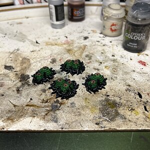 IMG_3307.jpeg