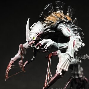 IMG_3607.jpeg