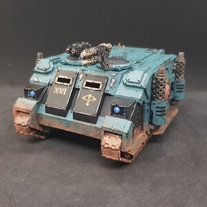 Rhino 2.jpg