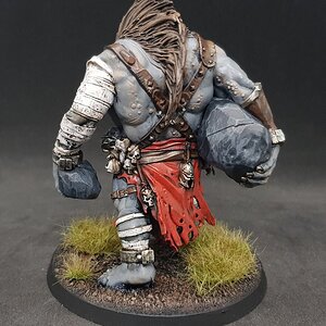 Fomorischer Steinbrecher 10.jpg