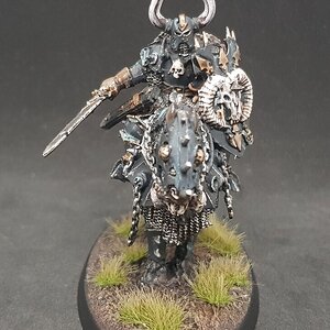 Chaos Lord 1.jpg