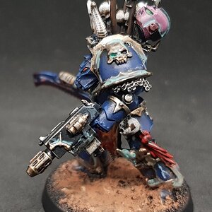 Termi Champion 3.jpg