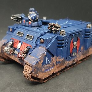 Rhino 3.jpg