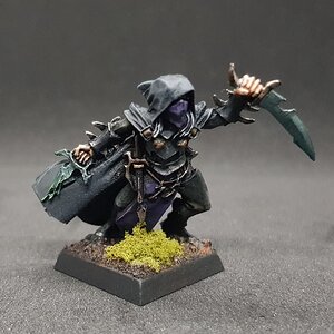 Assassine 1.jpg