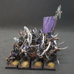 Schwarze Korsaren 4.jpg