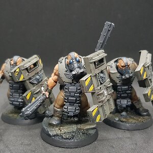 Bullgryns 1.jpg
