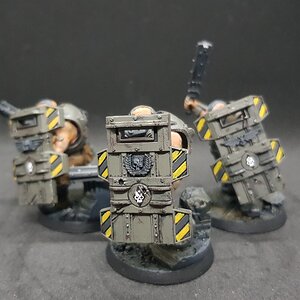 Bullgryns 2.jpg