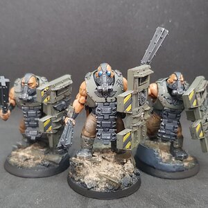 Bullgryns 2.jpg