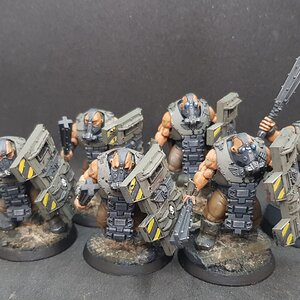 Bullgryns 3.jpg