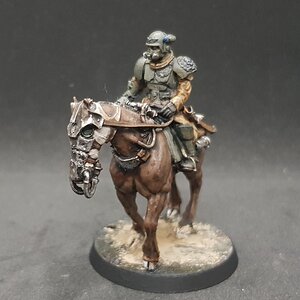 Rough Rider 1.jpg