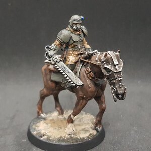 Rough Rider 2.jpg