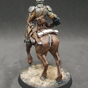 Rough Rider 3.jpg