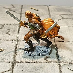 Adventurer 1.jpg