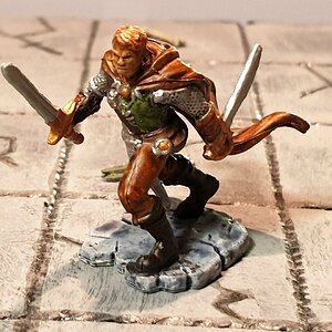 Adventurer 2.jpg