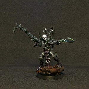 drukhari-kill-team_44042203365_o.jpg