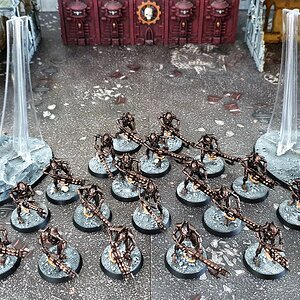 Necrons 20 Krieger und Flugbases Abgabe.jpg