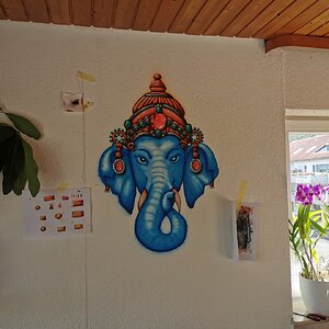IMG_20200910_160325.jpg