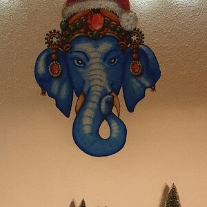 IMG_20201206_083110.jpg