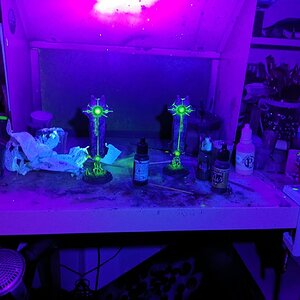 IMG_20201212_172143.jpg