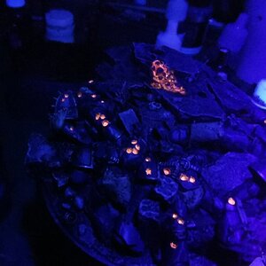 IMG_20201229_172155.jpg