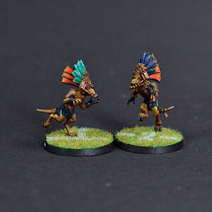 Skinks.jpg