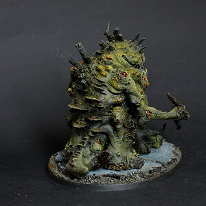 Gr. Nurgle 6.JPG