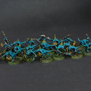 skinks.JPG