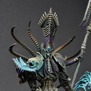 Nagash Oberkörper.jpg