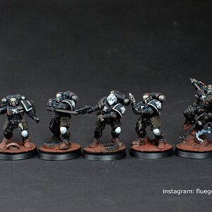 RavenGuard.JPG