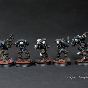 RavenGuard2.JPG