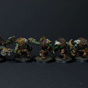 Erste Orks RostigInstaHinten.JPG