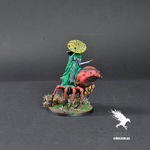 Jorogumo2.JPG