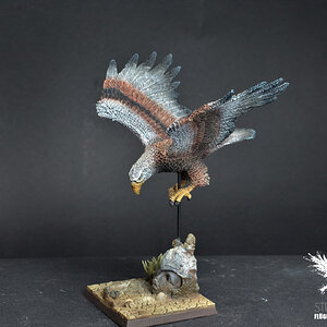 OldschoolVogel.JPG