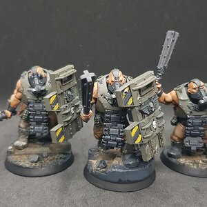 Bullgryns 4.jpg