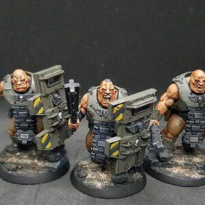 Bullgryns 4.jpg