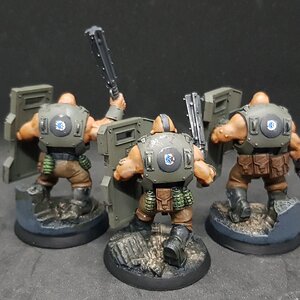 Bullgryns 5.jpg