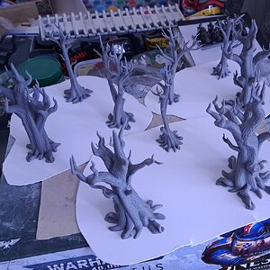 WIP3.jpg