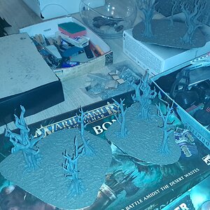 WIP5.jpg