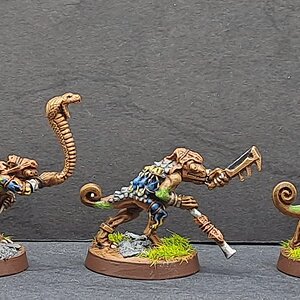 Seraphon38.jpg