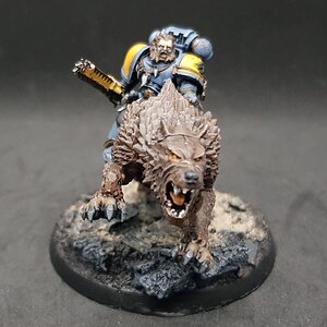 Donnerwolf 4.jpg