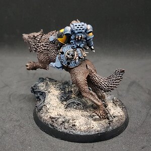 Donnerwolf 6.jpg