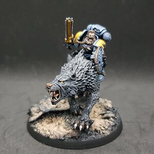 Donnerwolf 8.jpg