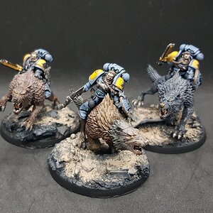 Donnerwolf 12.jpg