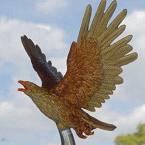 Adler- Forum 1.jpg