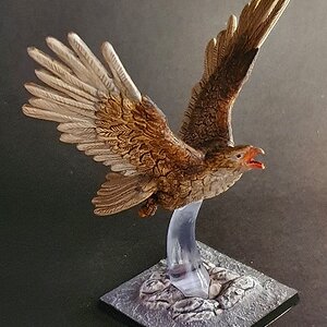 Adler neu Matt .jpg