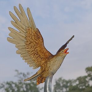 Adler neu Matt jpg.jpg