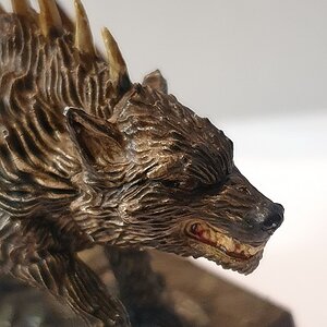 Wolf 1 jpg.jpg