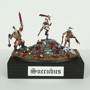 suc_26.jpg