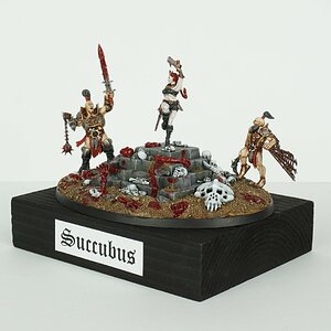 suc_27.jpg