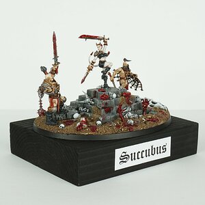 suc_28.jpg